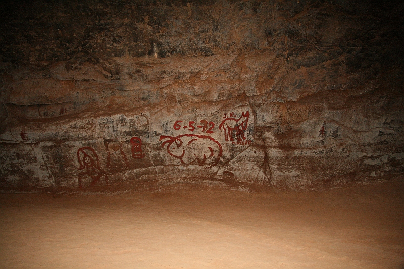 Kanary_2010 196